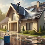 Roof Cleaning