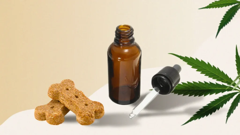 CBD for Dogs