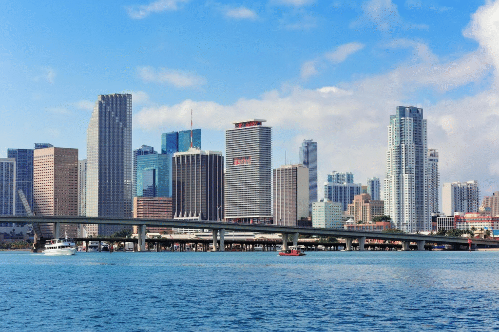 Miami Vibes
