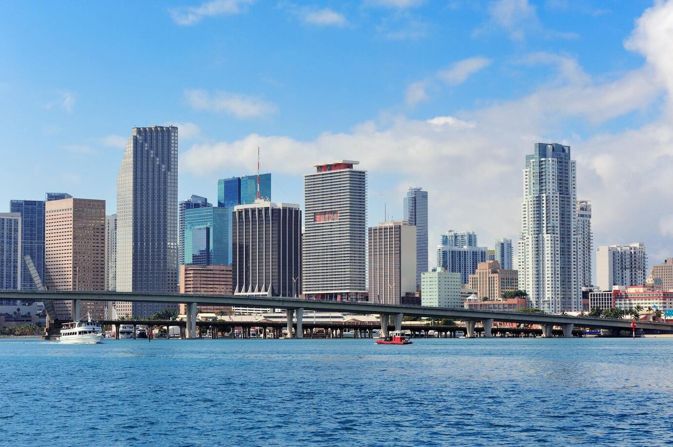 Miami Vibes