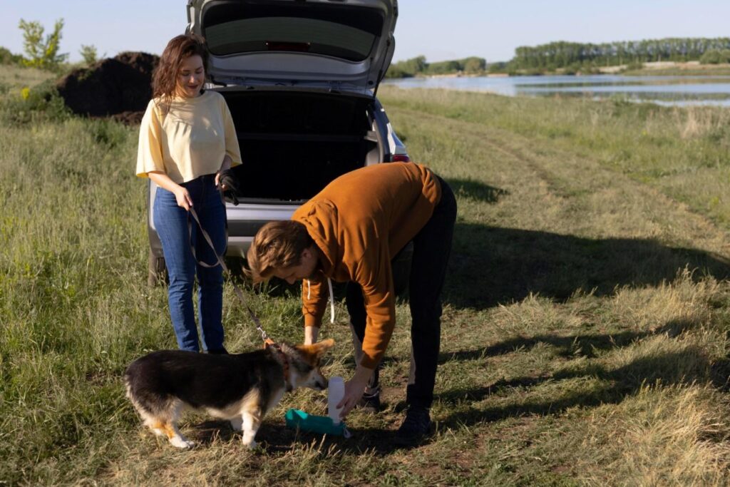 Professional Dog Poop Pickup Service