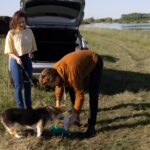Professional Dog Poop Pickup Service