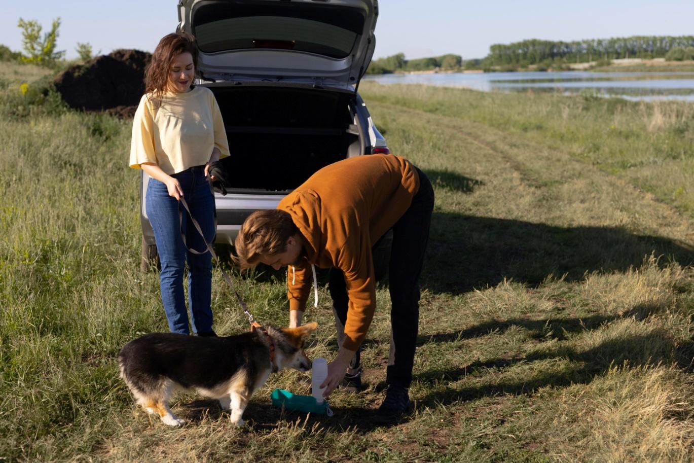 Professional Dog Poop Pickup Service