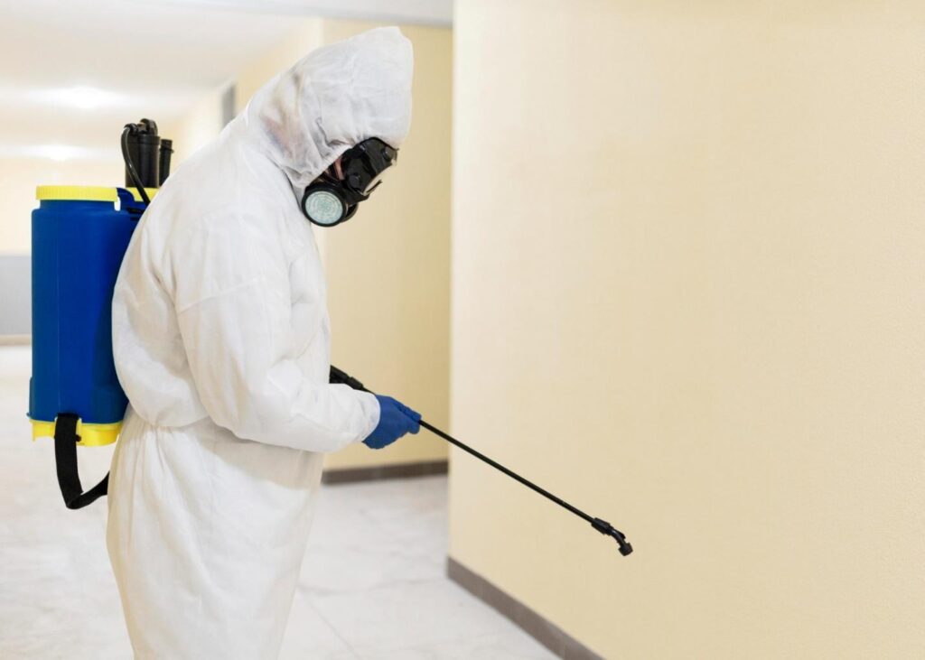 Termite Control Near Me