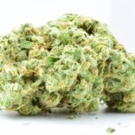 White Widow Strain