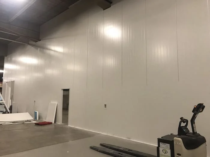 Insulated Panels for Walls