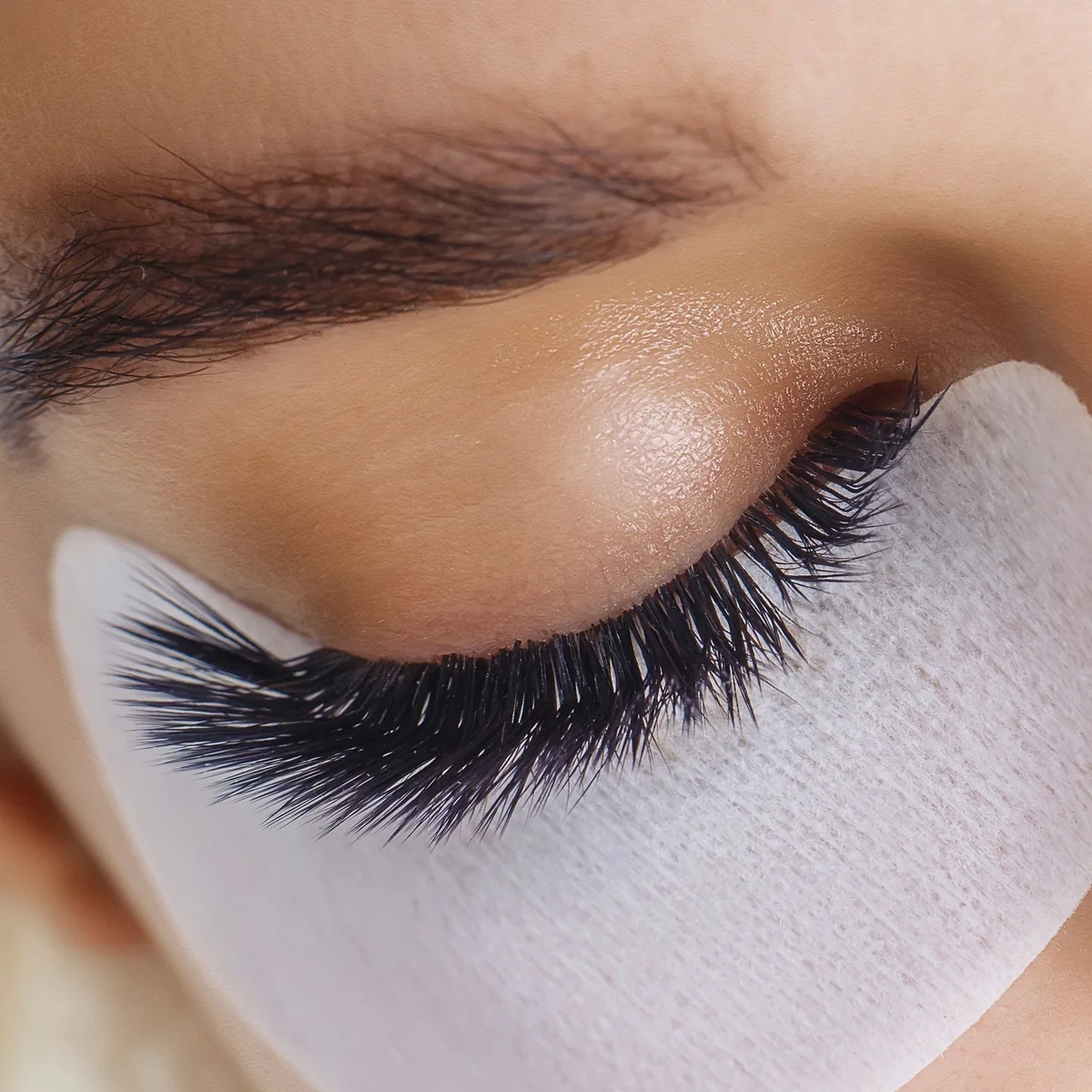Lash Curls