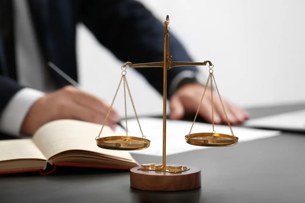 Legal Services And Accounting